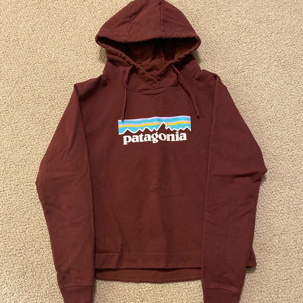 Patagonia sweatshirt